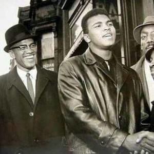 Meet your Posher, Louis